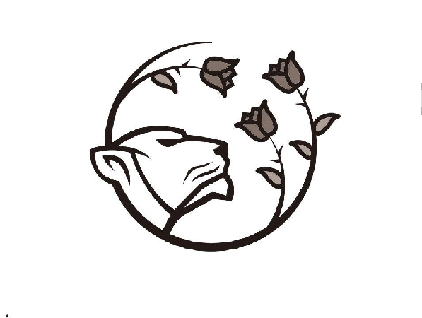 ͼ
