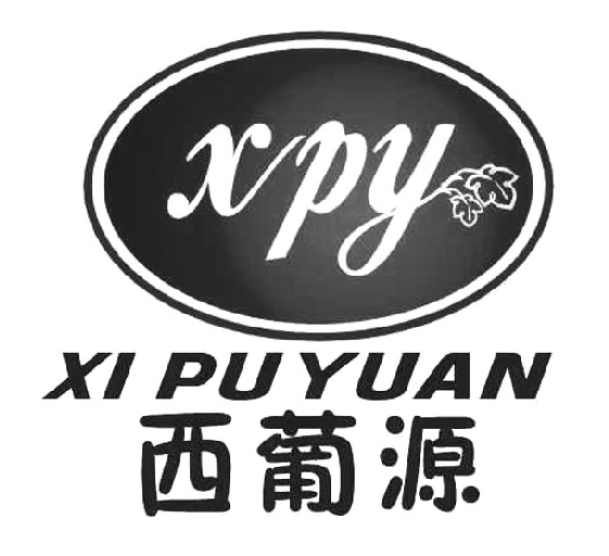 Դ XPY