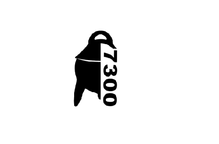 ͼ+7300